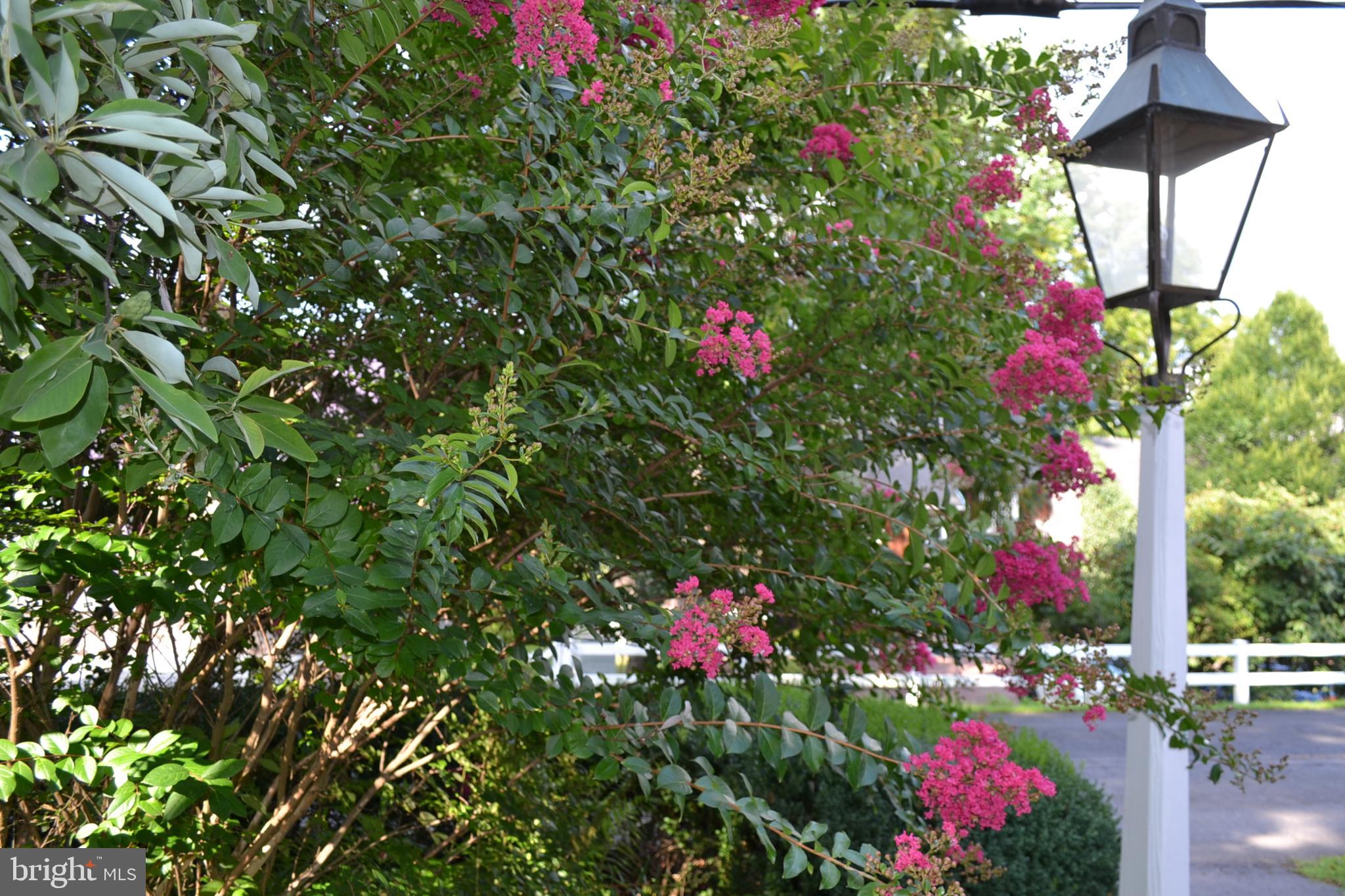 LUMBERVILLE - Residential