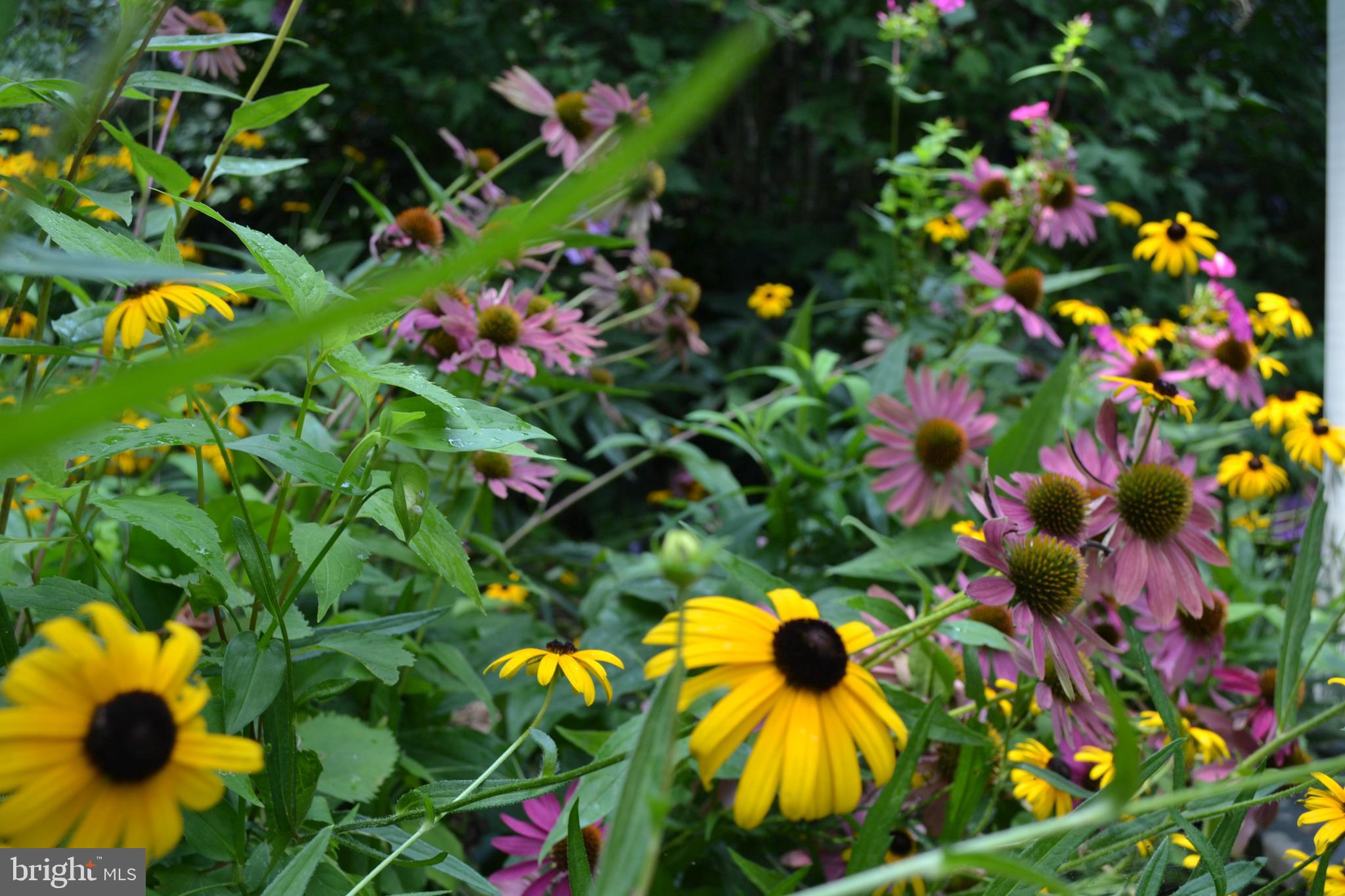 LUMBERVILLE - Residential