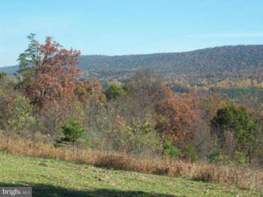 PERMANENT VIEW to the East and West from this 28.23 open and wooded acres in Slim Chance Acres Subdivision. Reasonable covenants and restrictions, located in the Posey Hollow area of Morgan County WV. Mature hardwood trees and open field make an ideal location to build your dream home. Seller conveying a current septic permit.Lot #8