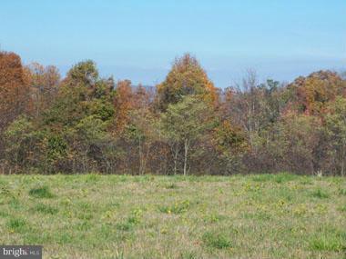 SLIM CHANCE ACRES - Land