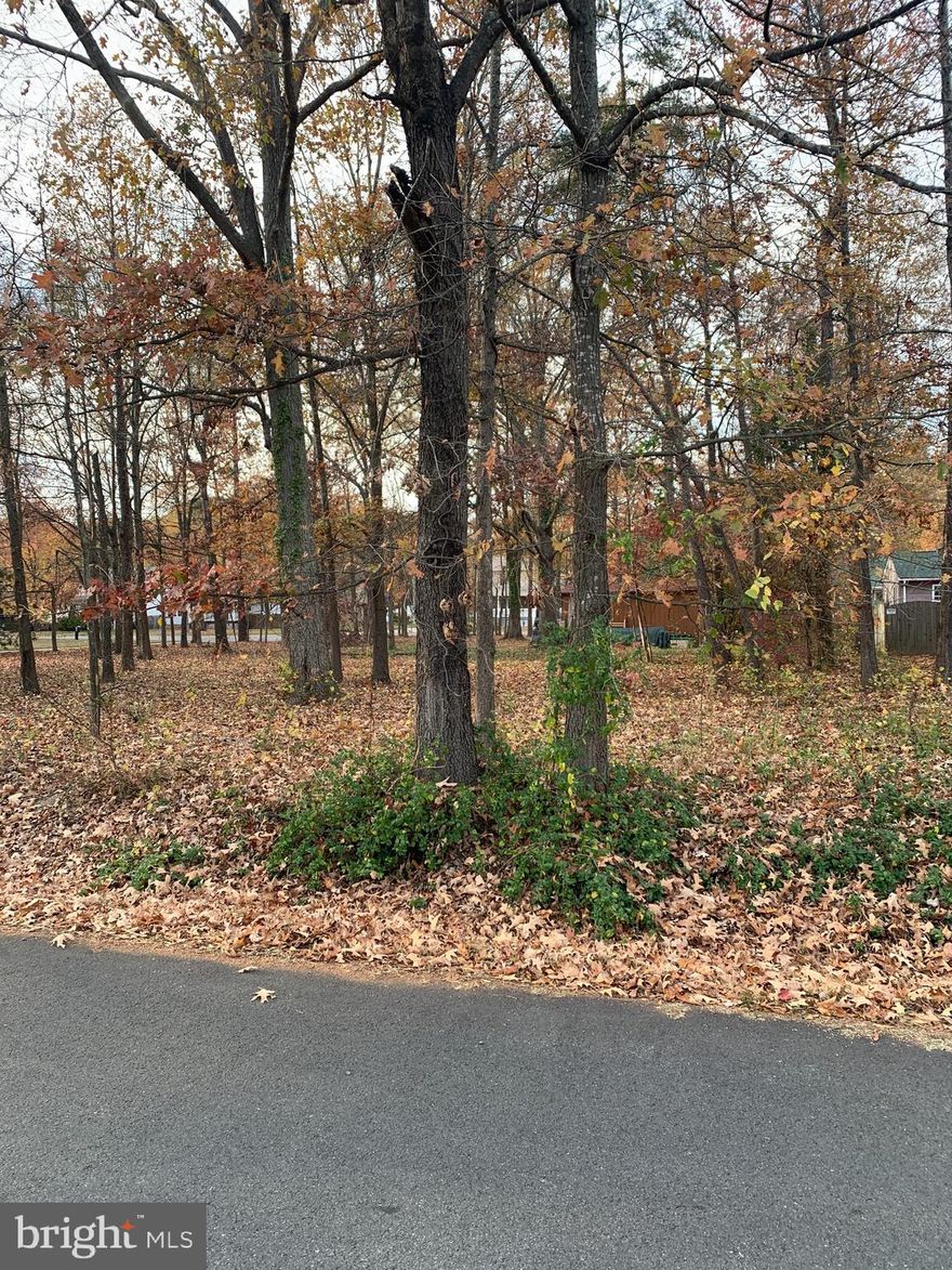 Building lot in the town of Colonial Beach on nice established street. 62.5' x 100' 6250 sq. ft. Legal description Lots 25, 26, part 27 BK 28C / Lot 1C