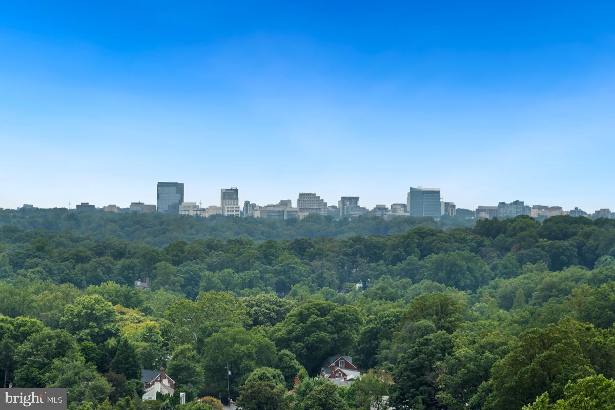 MICA CODM @ SILVER SPRING - Residential