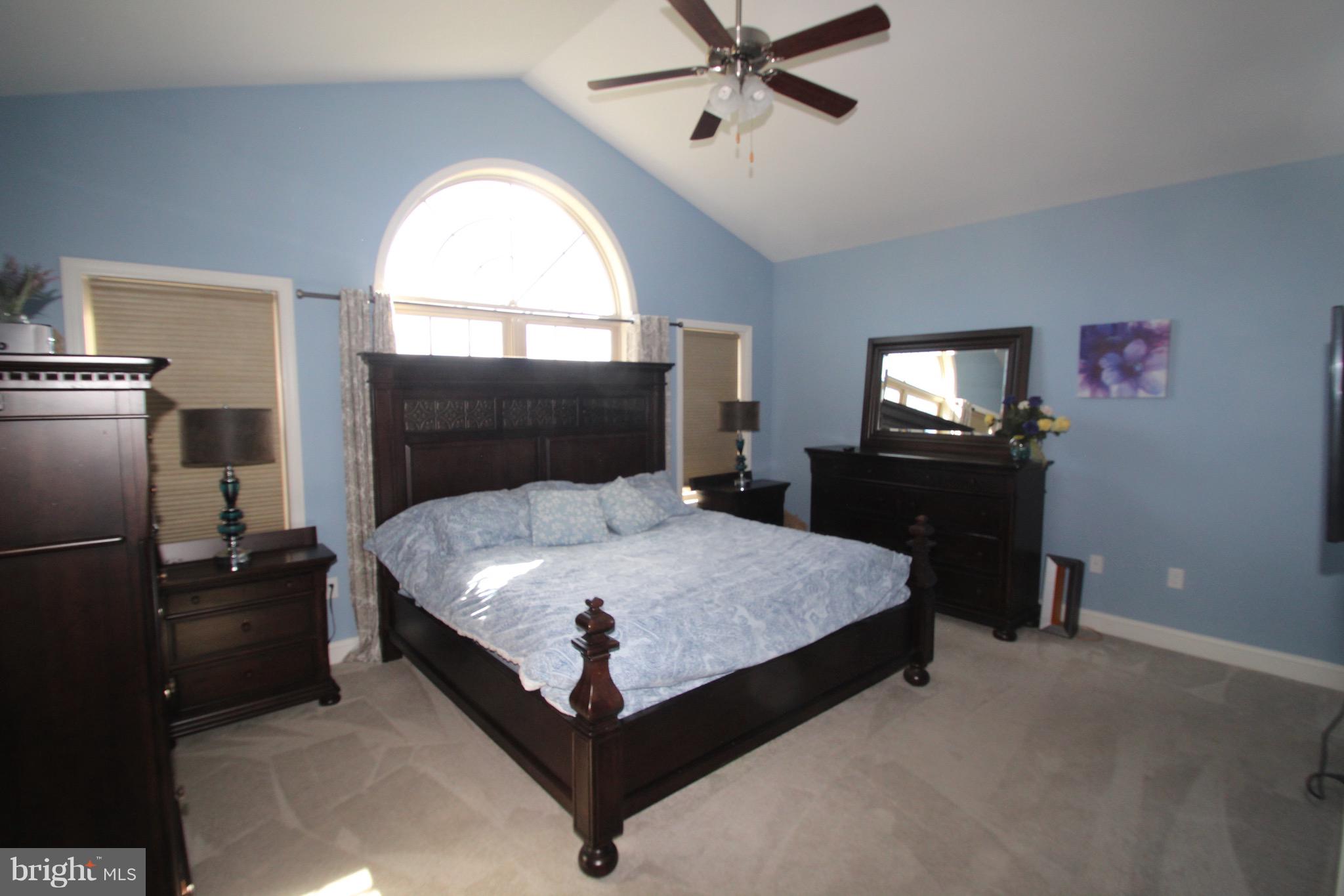 ELM TREE - Residential