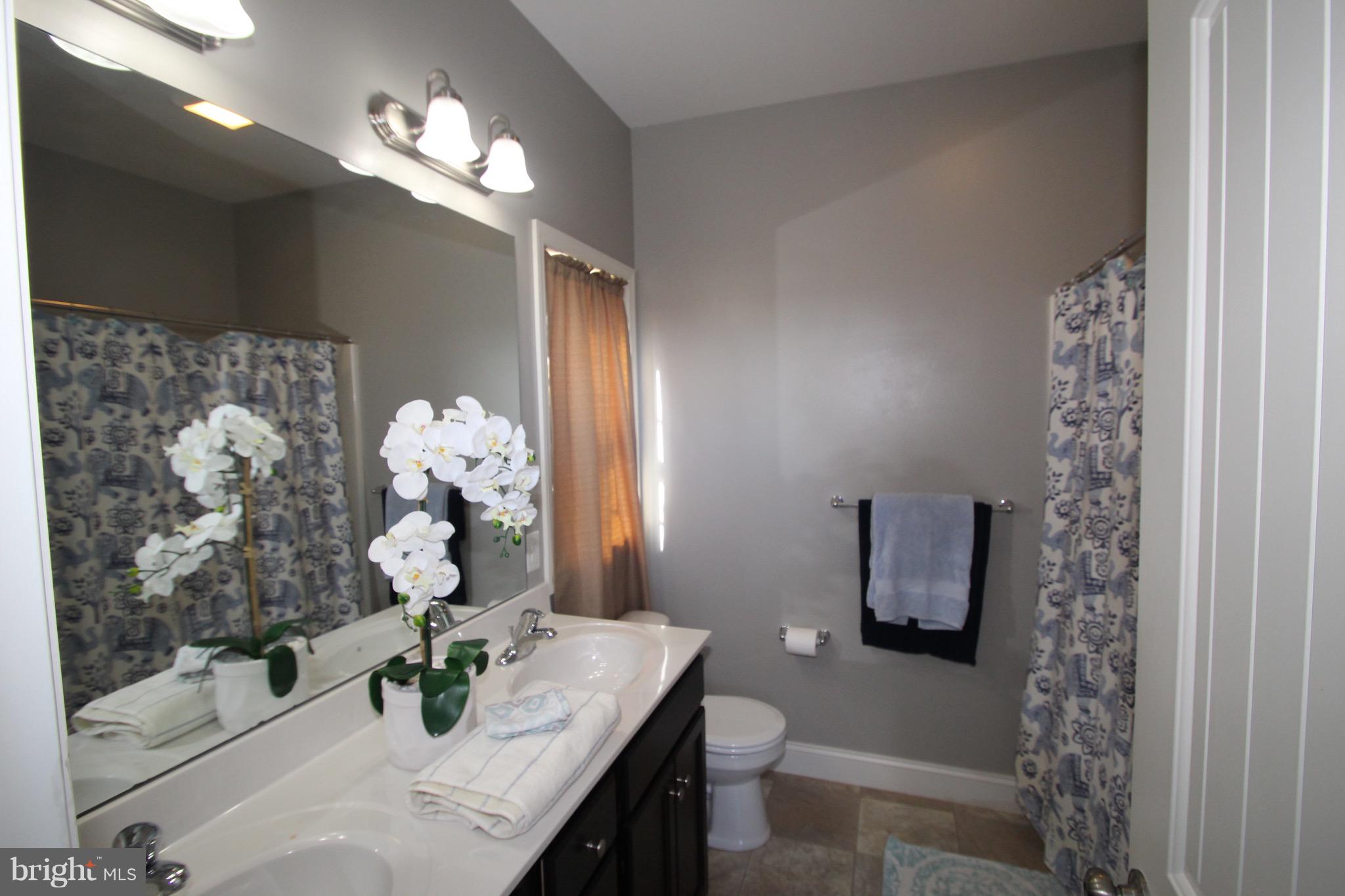 ELM TREE - Residential