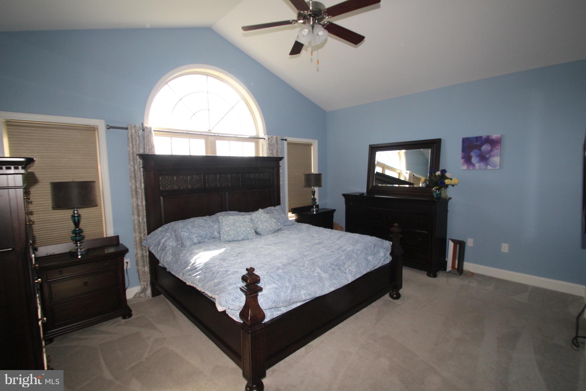 ELM TREE - Residential