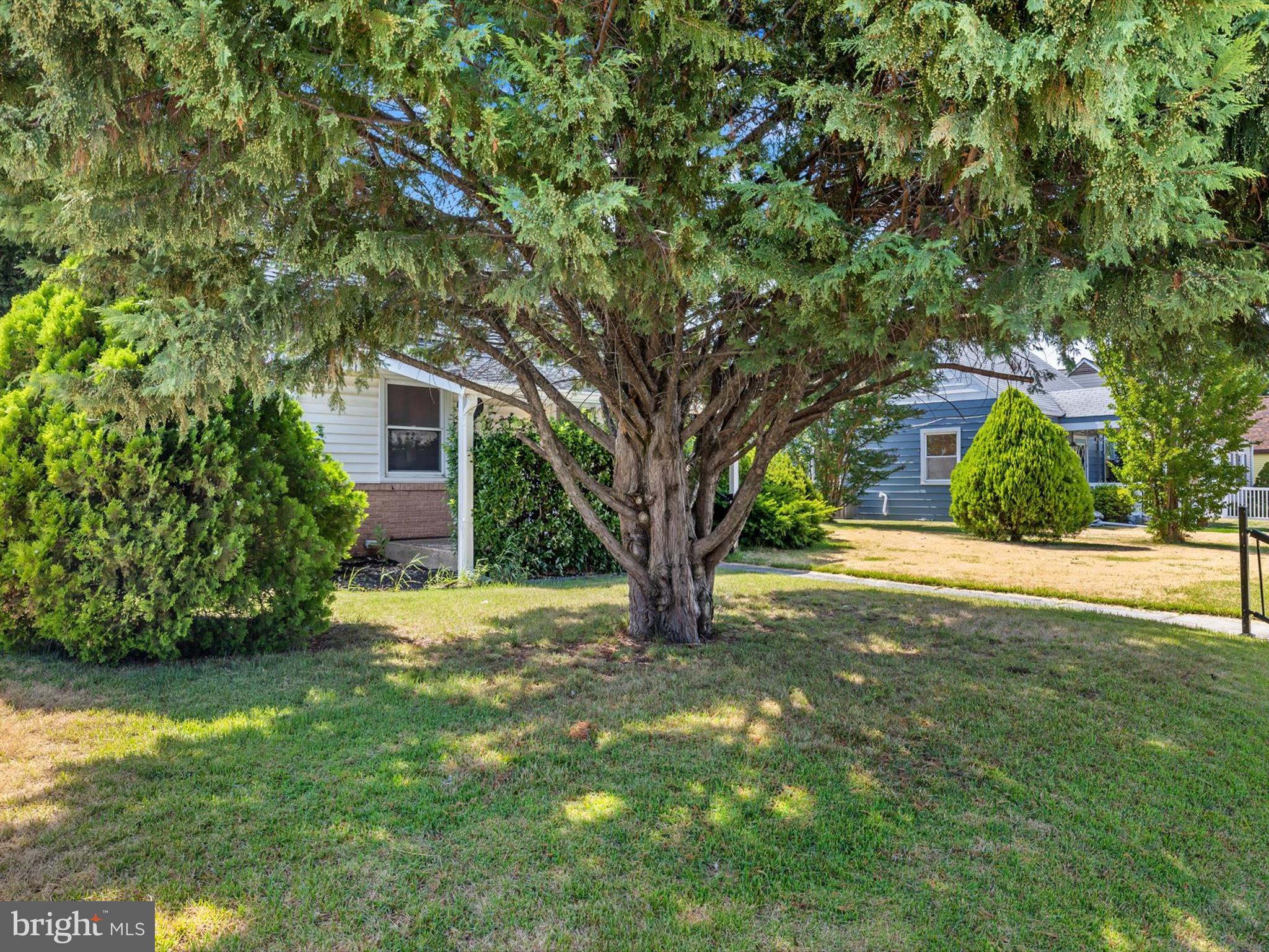 DUNDALK - Residential