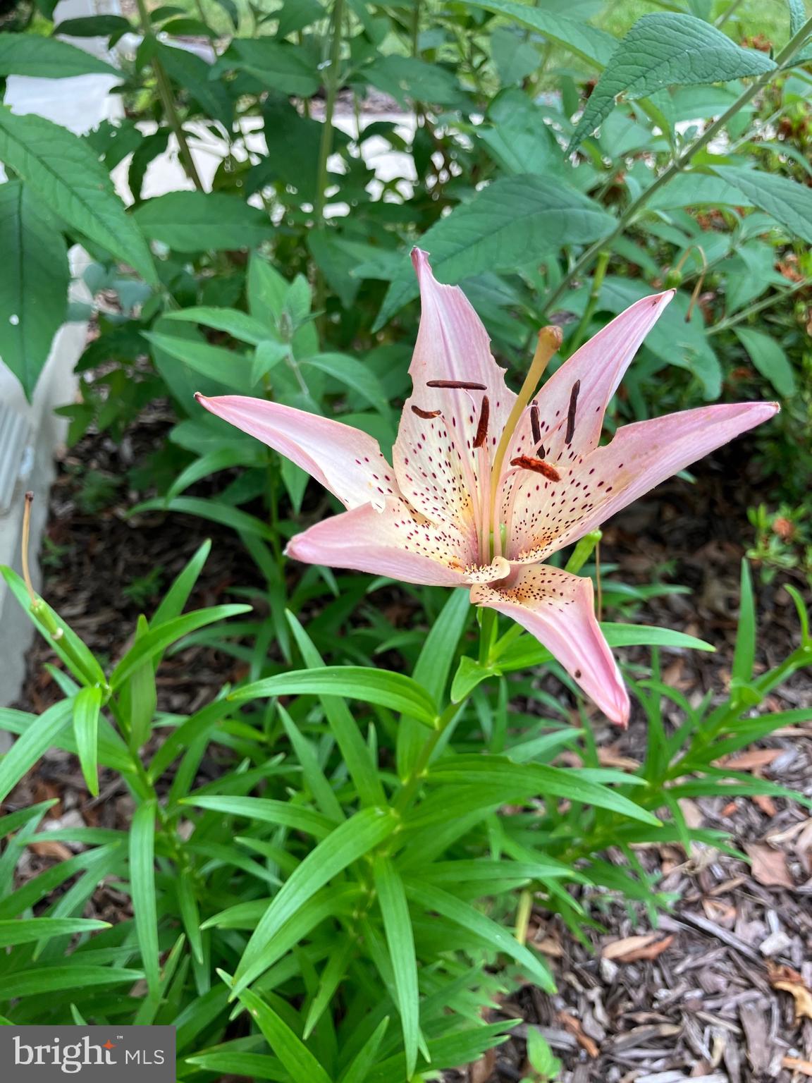 LITTLETON - Residential