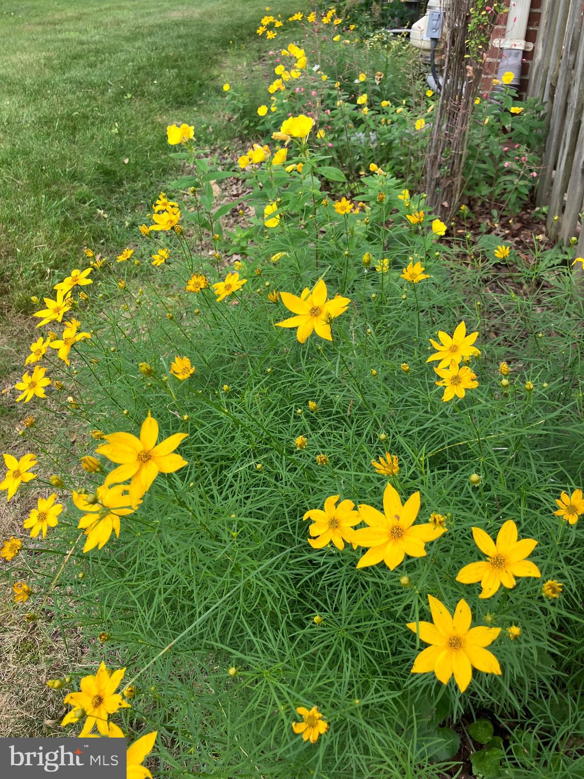 LITTLETON - Residential