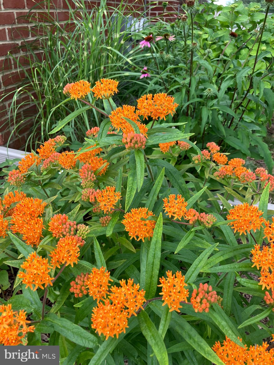 LITTLETON - Residential