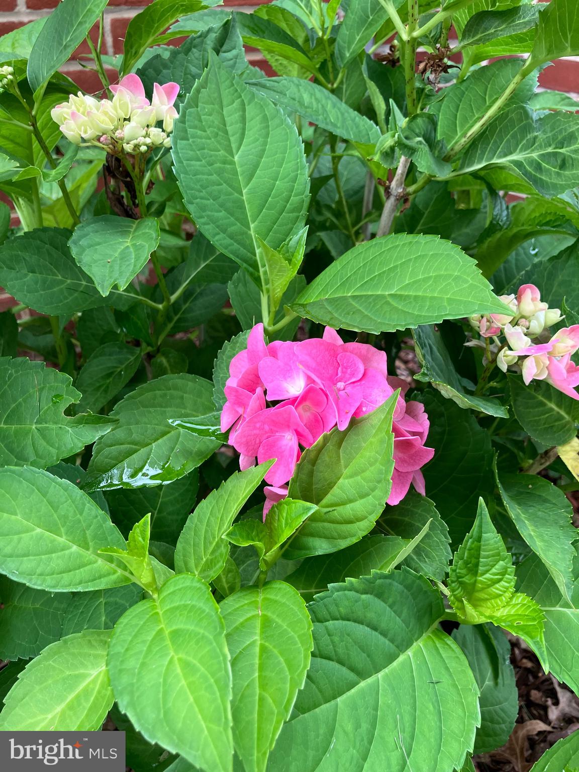 LITTLETON - Residential