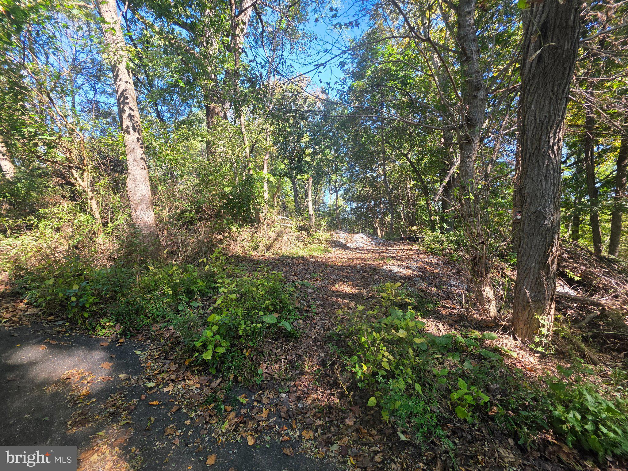 MARTIN ROAD