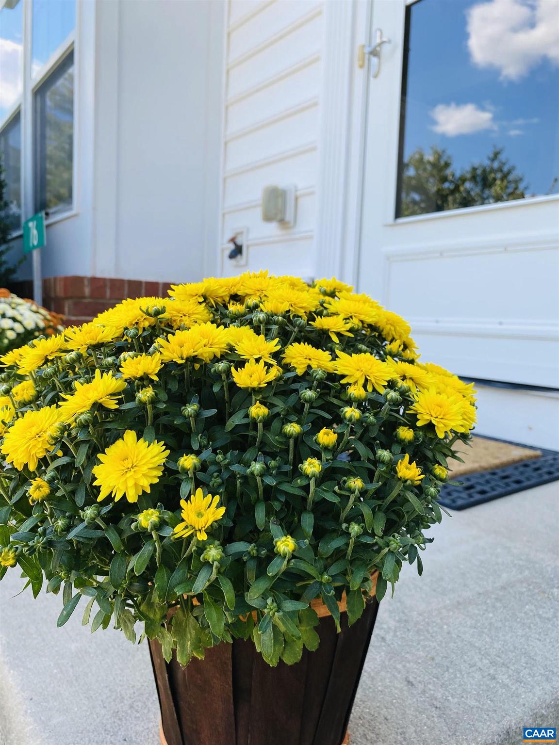 SYCAMORE SQUARE - Residential