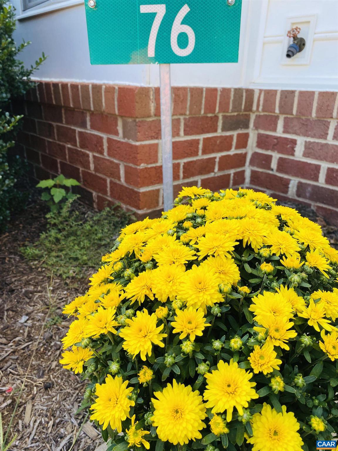 SYCAMORE SQUARE - Residential