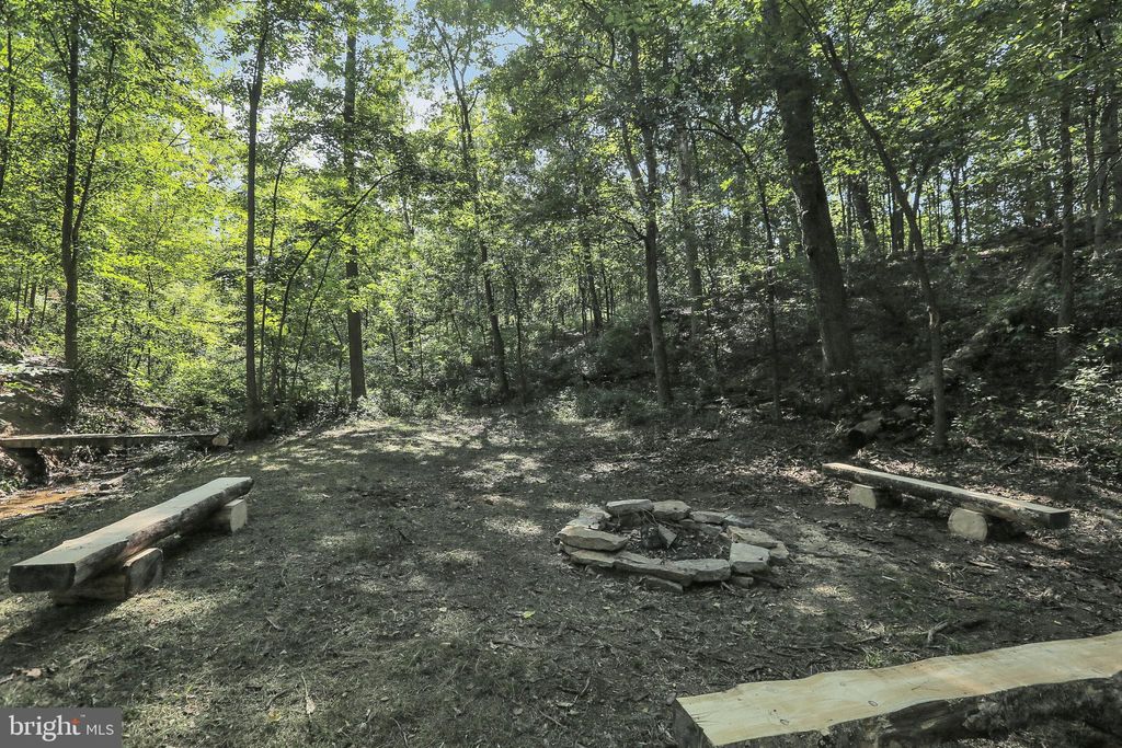 listing image 84
