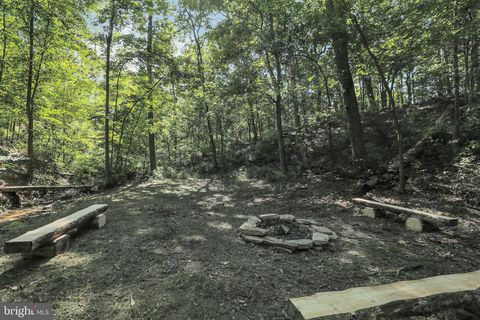 listing image 84
