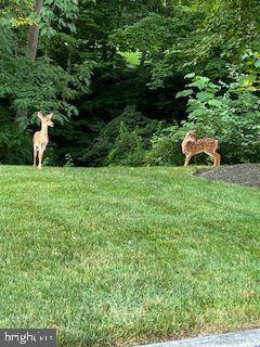 PINEHURST HILLS - Residential