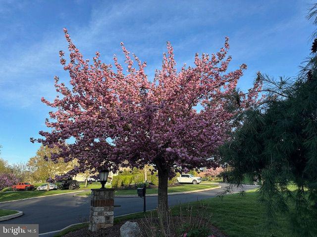 PINEHURST HILLS - Residential