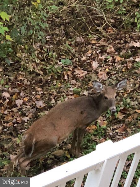 PINEHURST HILLS - Residential