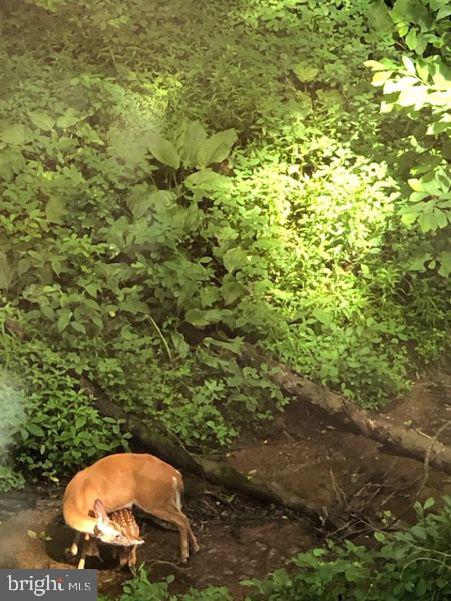 PINEHURST HILLS - Residential