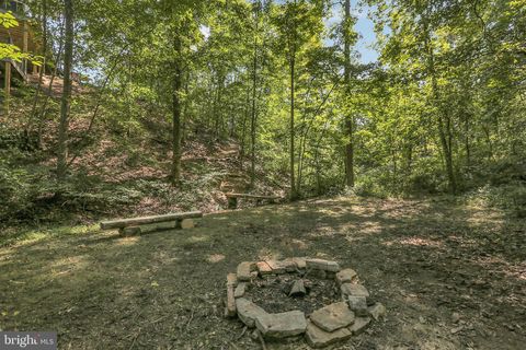 listing image 83