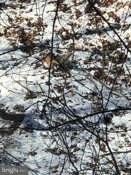 PINEHURST HILLS - Residential