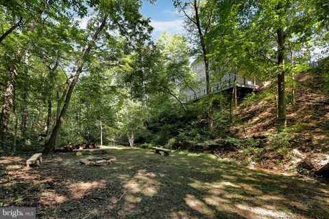listing image 82