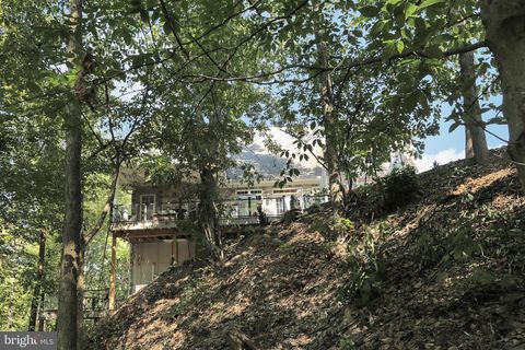 listing image 78