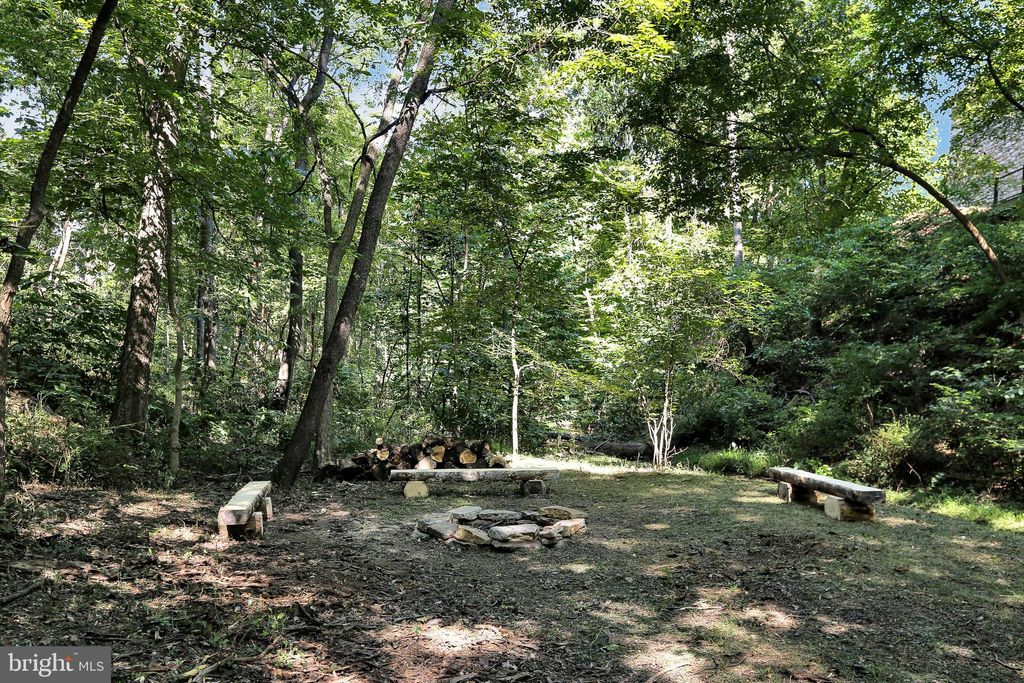 listing image 81