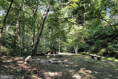 listing image 81
