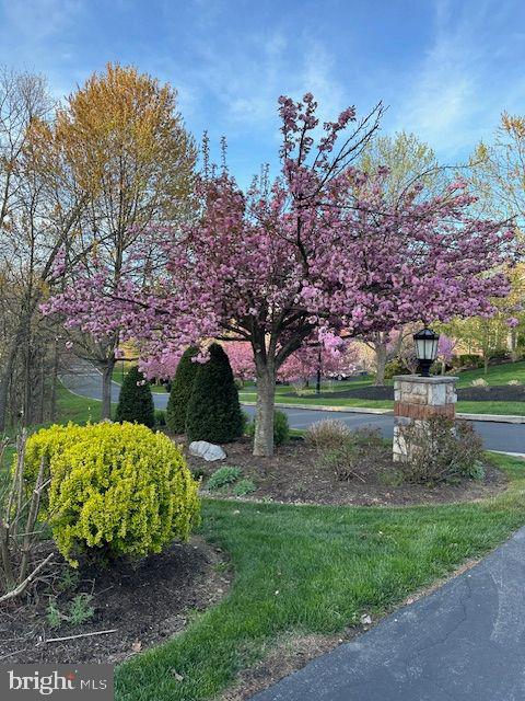 PINEHURST HILLS - Residential