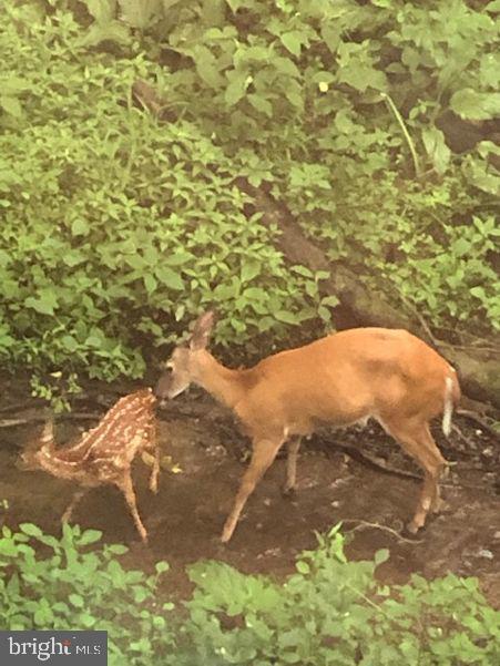 PINEHURST HILLS - Residential