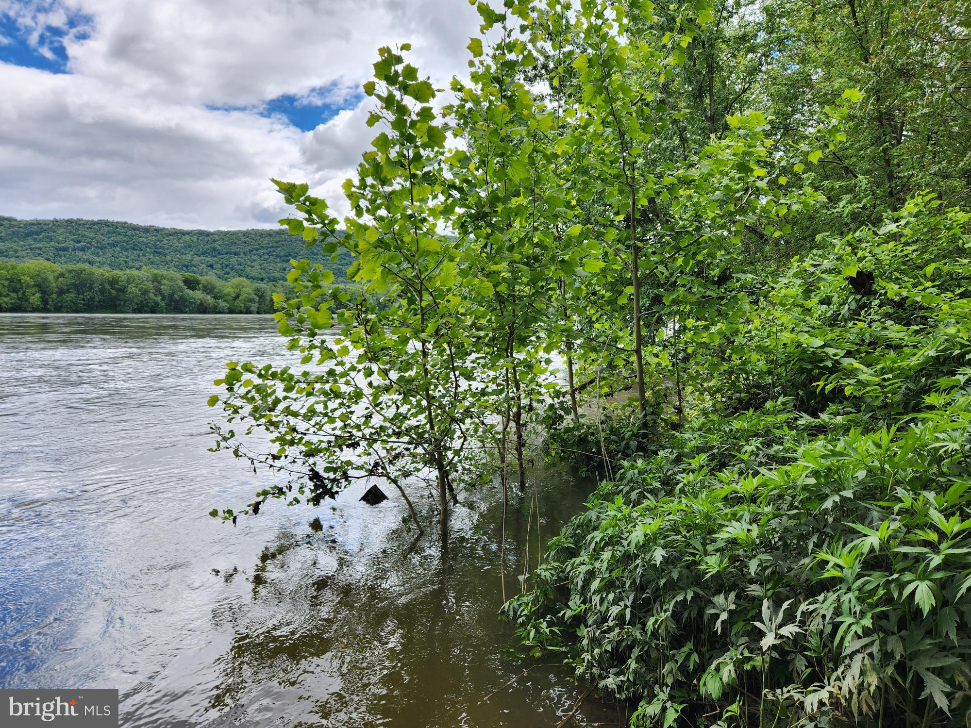 Bring on Summer fun by the Susquehanna River. Over 1 acre of Riverfront property - neighboring property is the State Game lands - YUP. Highway access. (River is high right now so you can't see the full property yet)