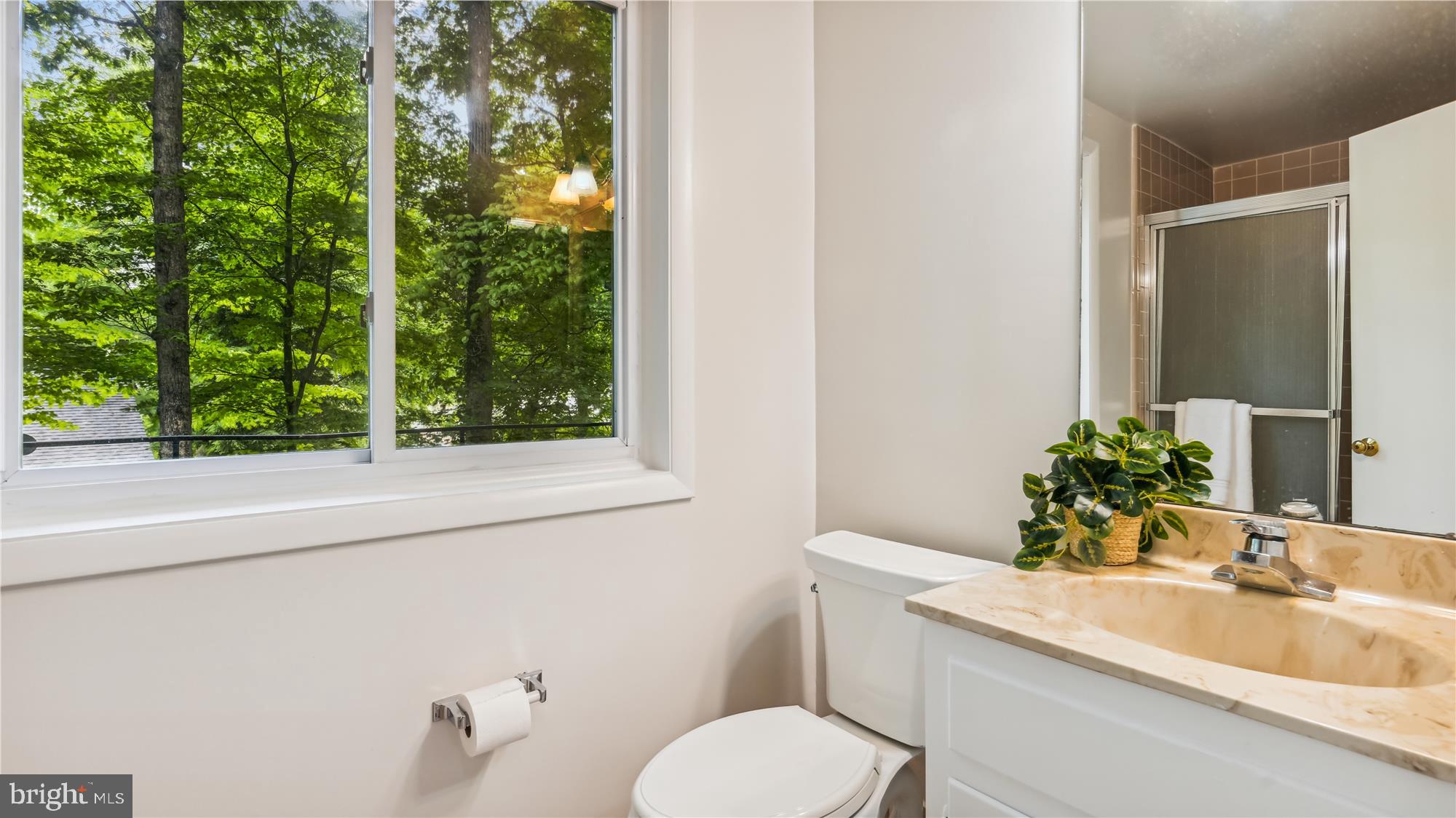 CHAIN BRIDGE FOREST - Residential