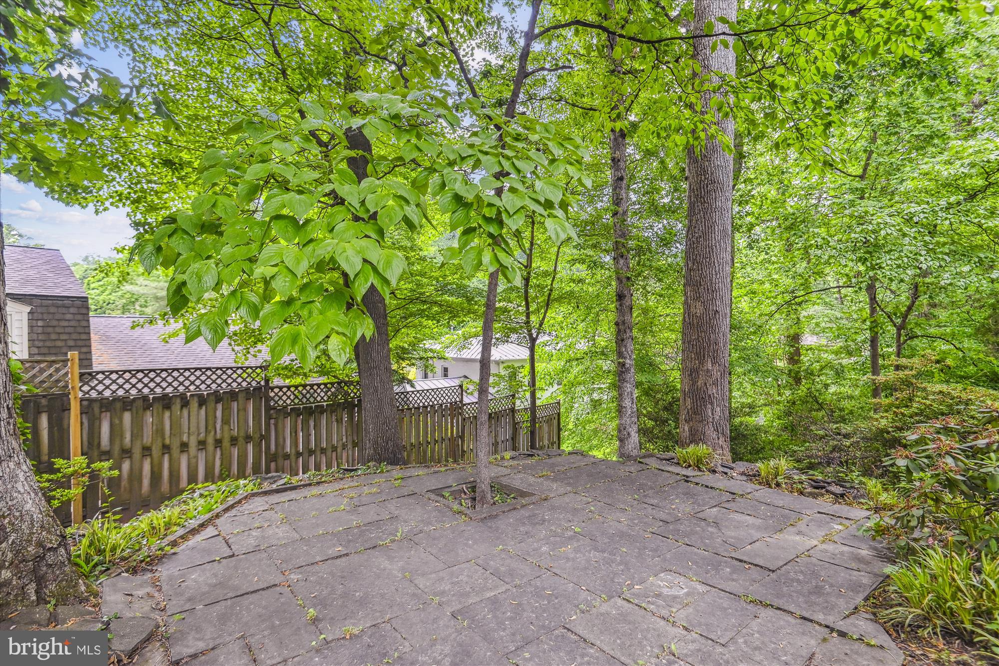 CHAIN BRIDGE FOREST - Residential