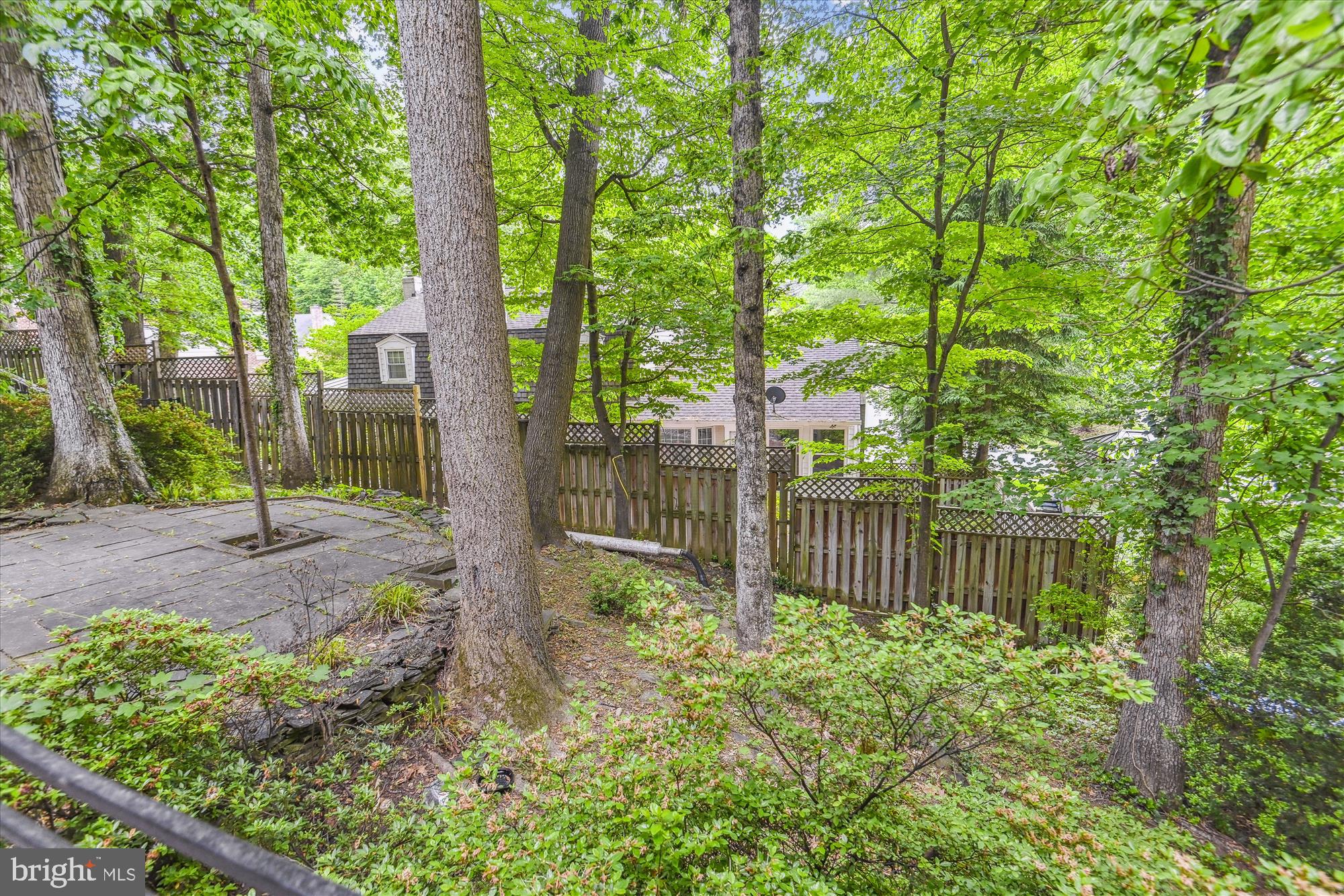 CHAIN BRIDGE FOREST - Residential