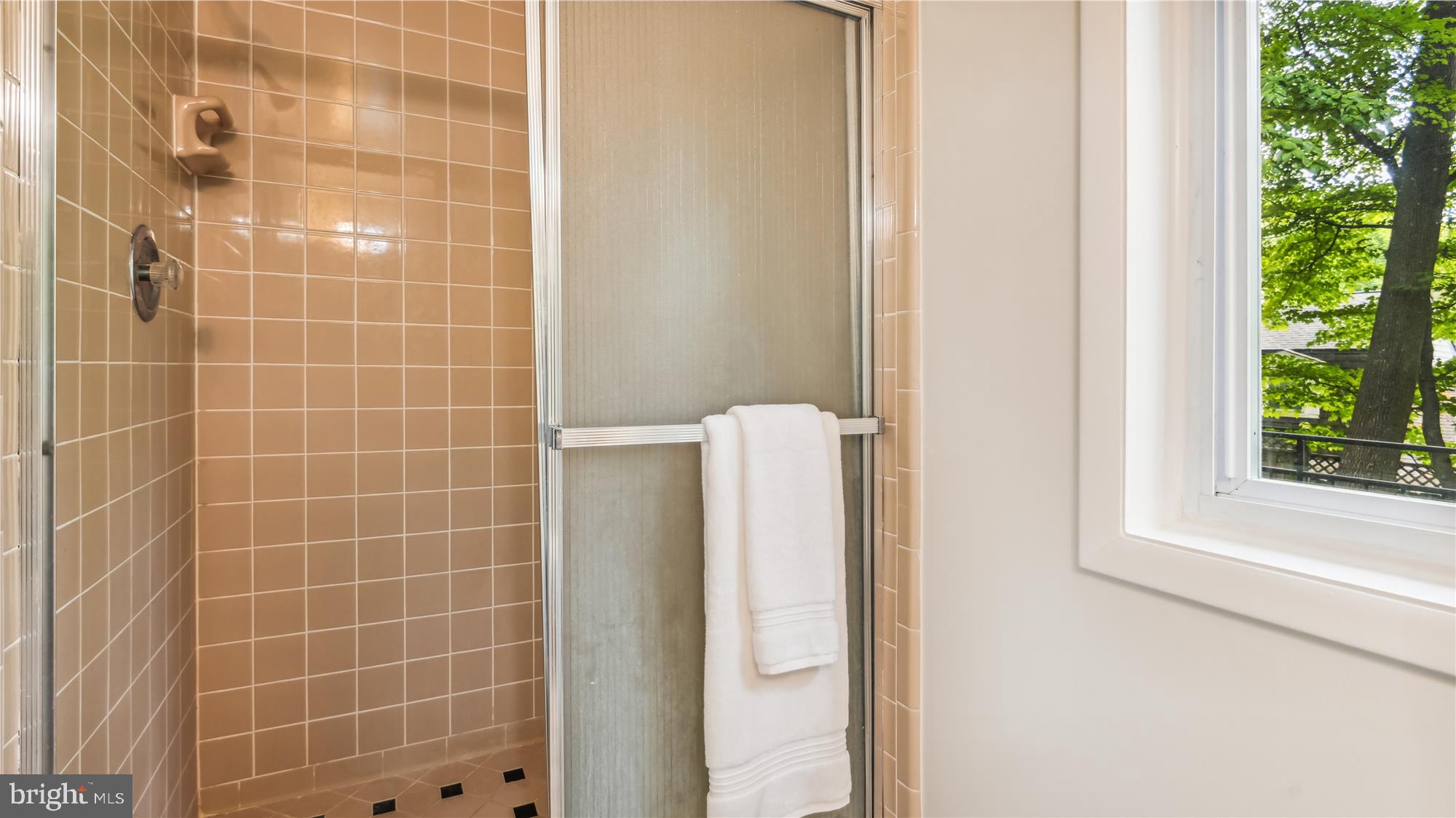 CHAIN BRIDGE FOREST - Residential