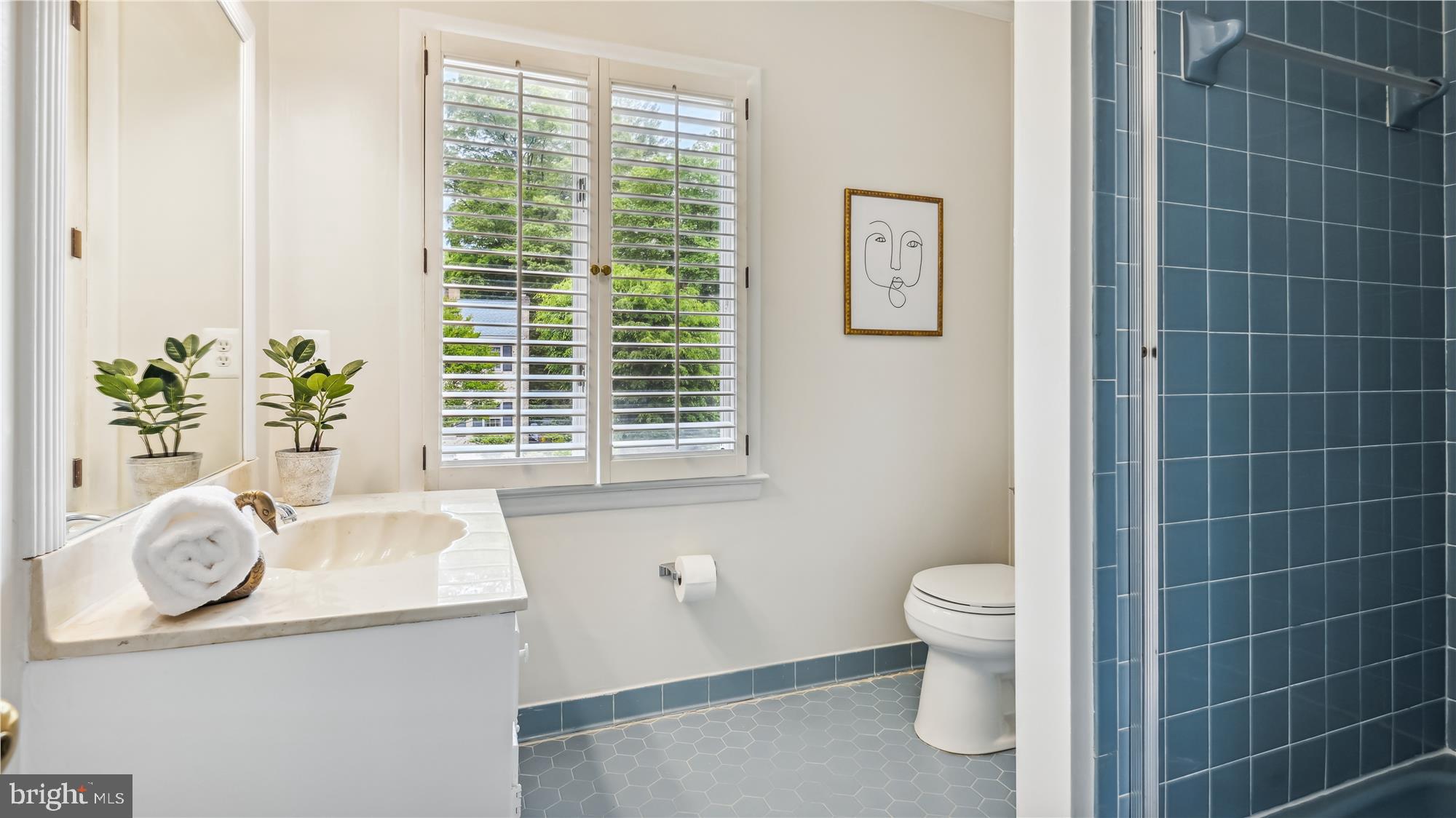 CHAIN BRIDGE FOREST - Residential