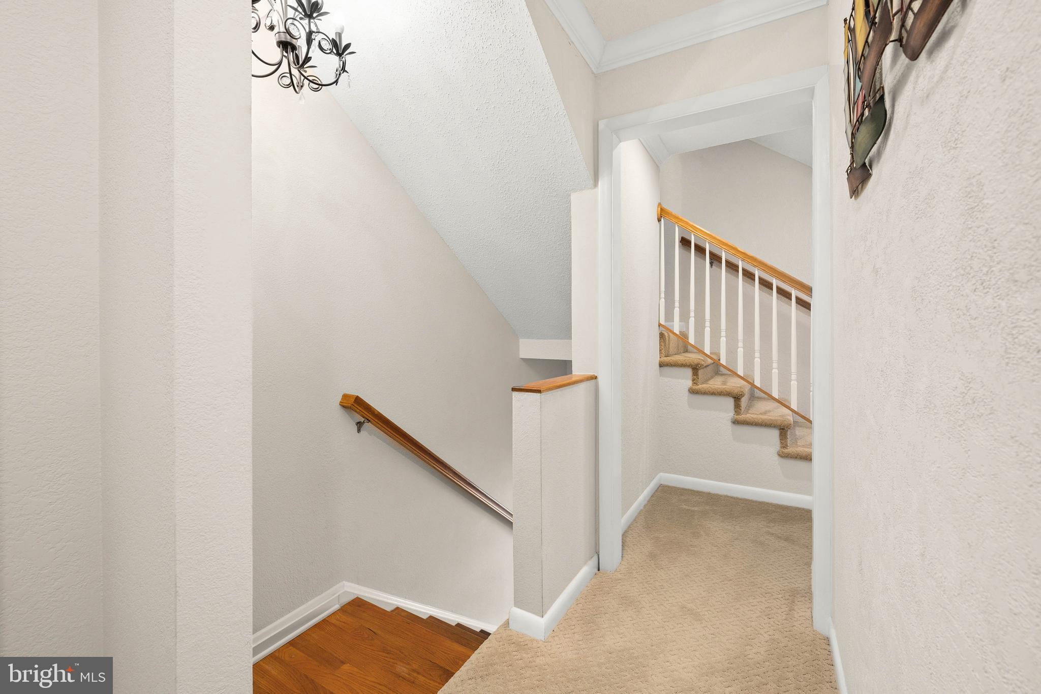 BAYBERRY ESTATES - Residential