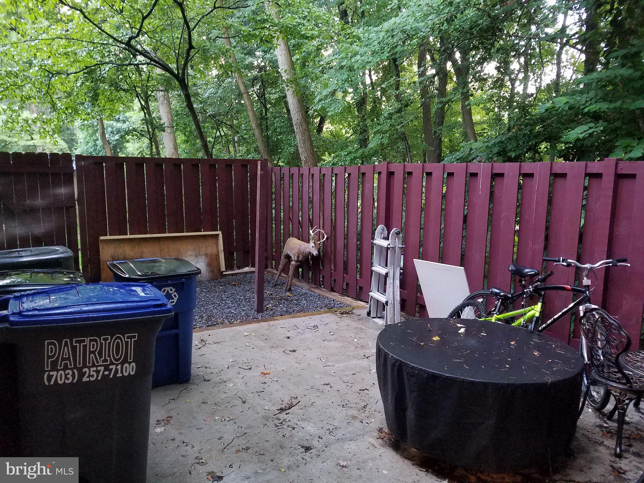 BURKE CENTRE - Residential Lease