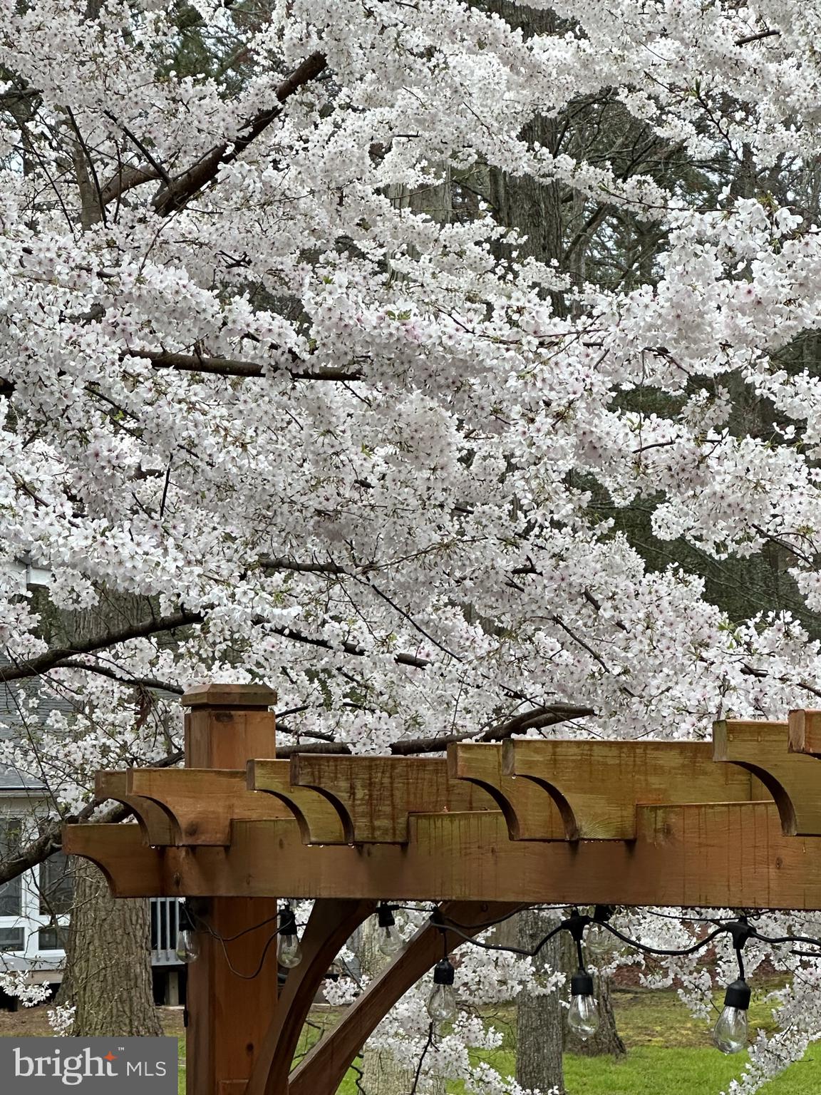 OCEAN PINES - PINEHURST - Residential