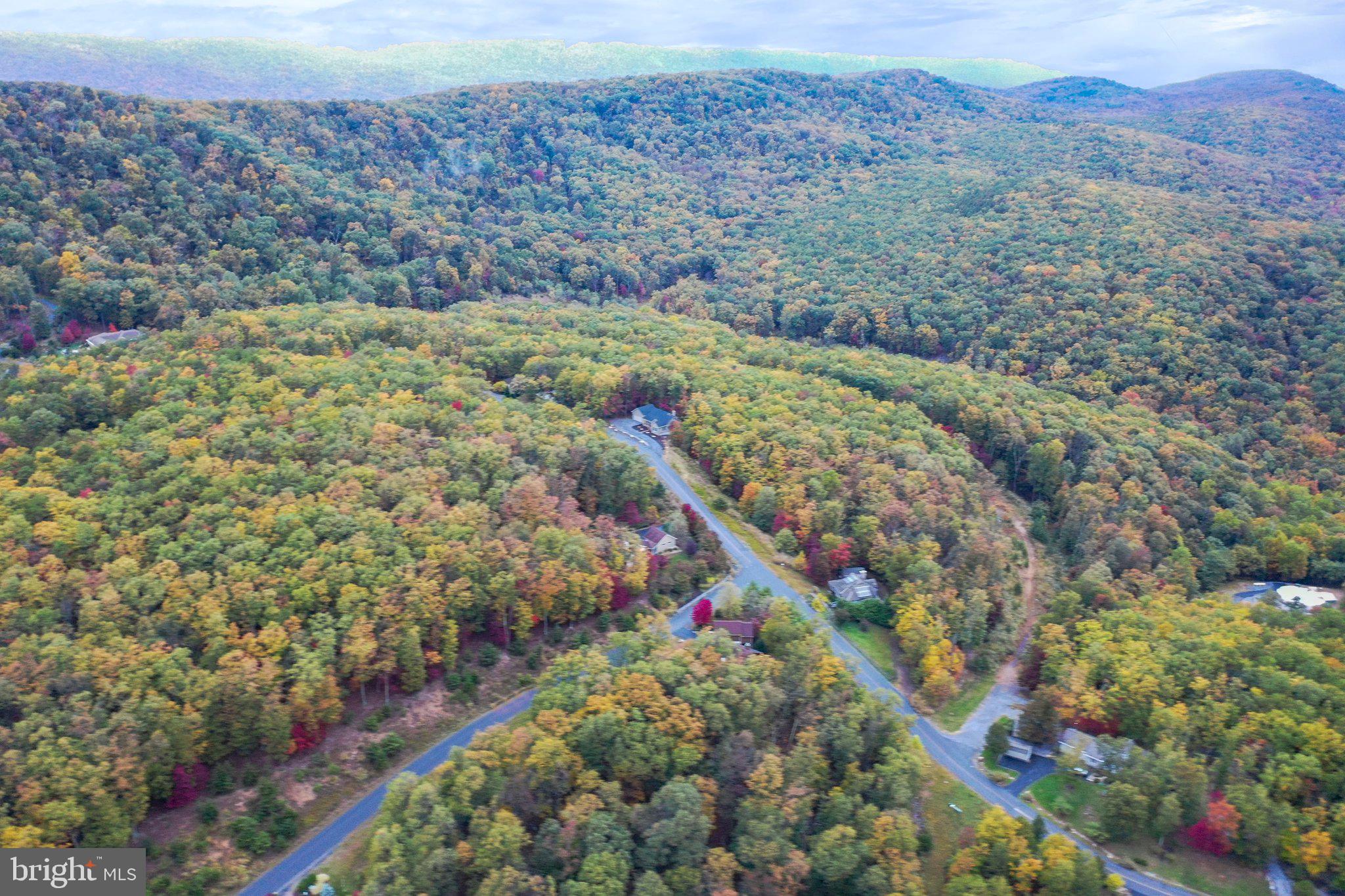 WOODS - Land