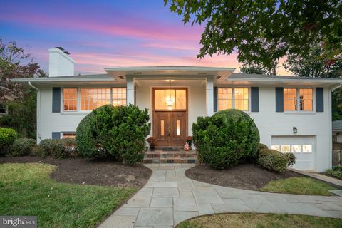 1438 COLLEEN LANE MCLEAN VA 22101