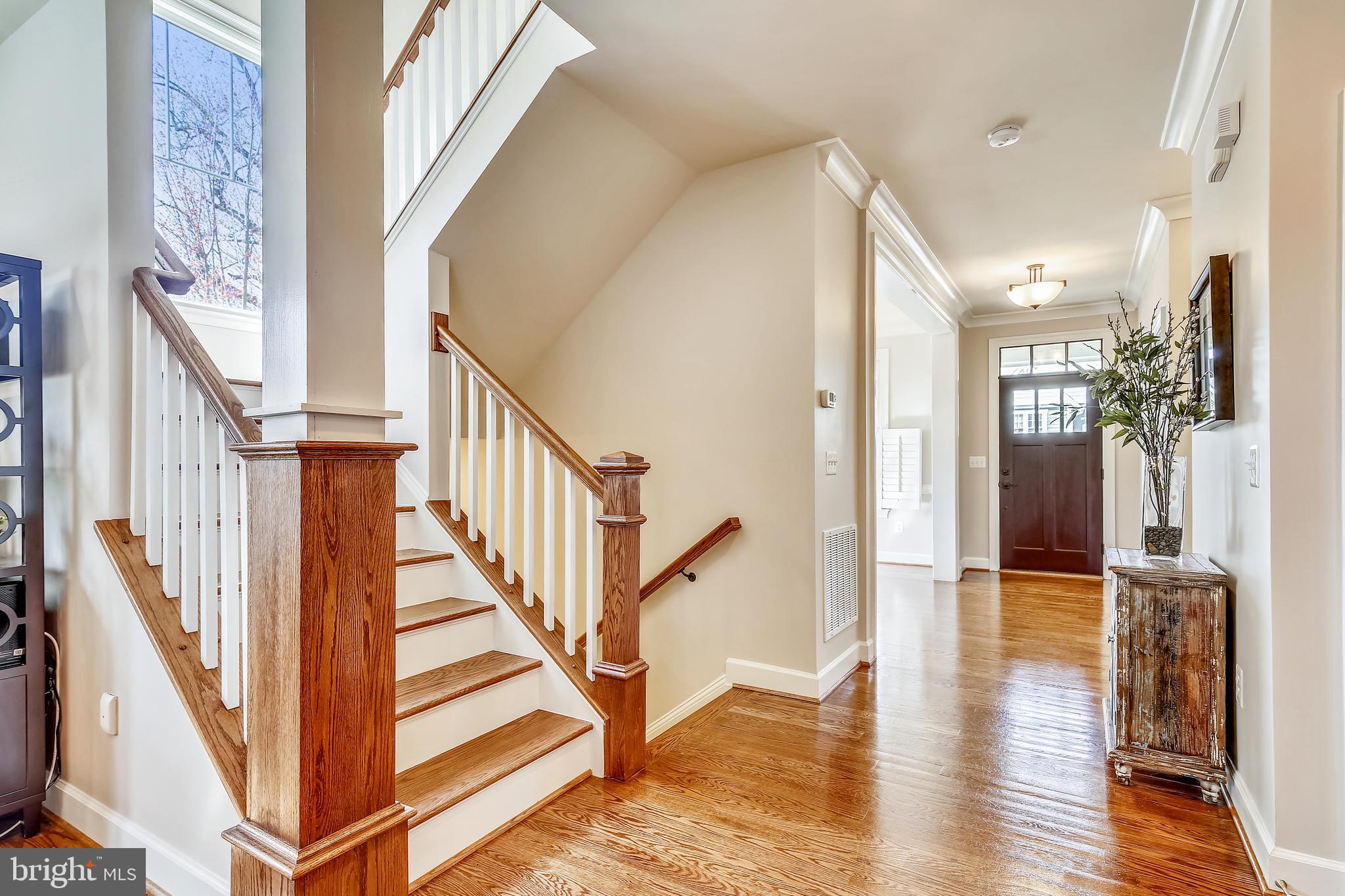 LACEY FOREST - Residential