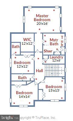 LACEY FOREST - Residential