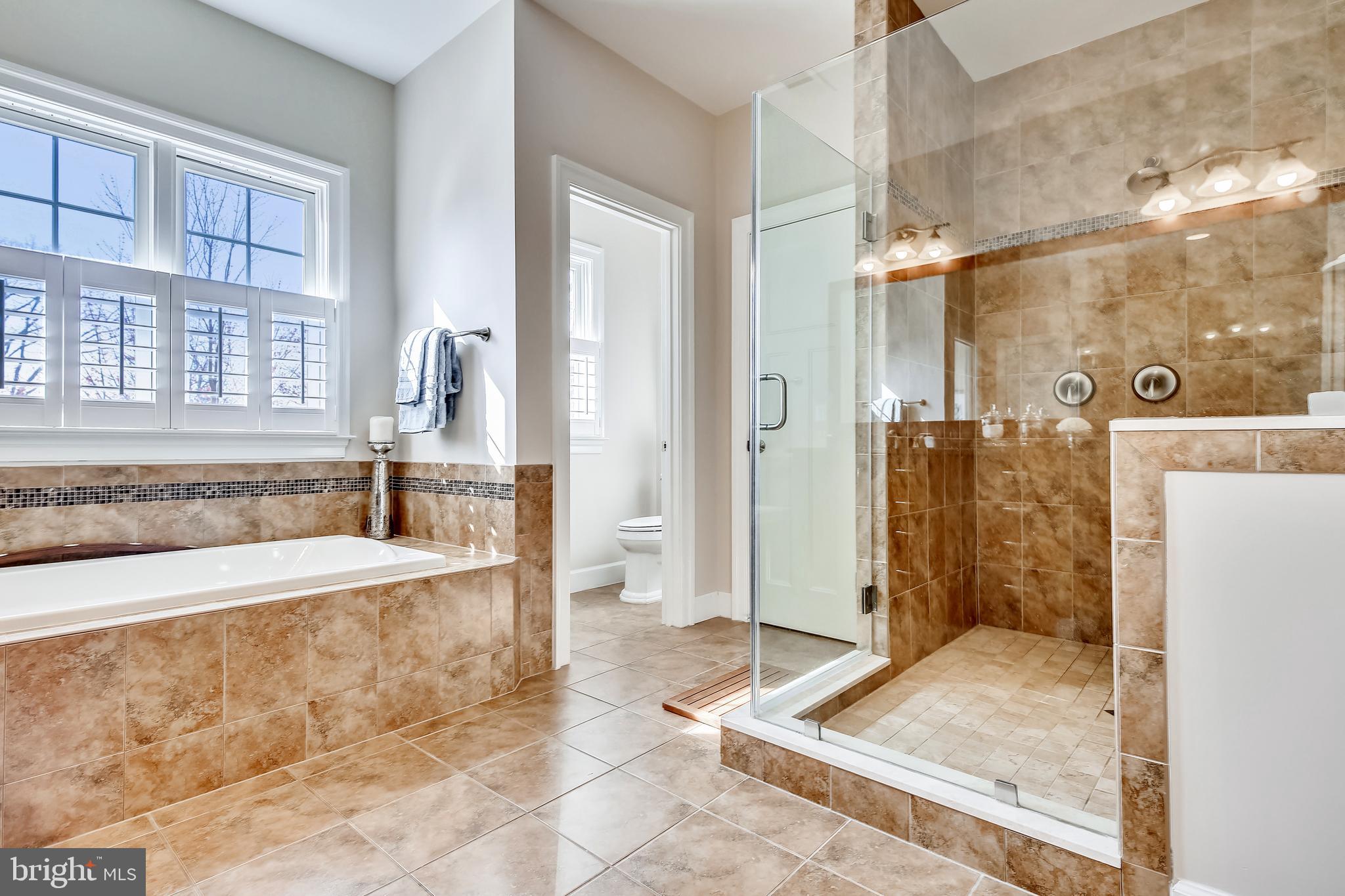 LACEY FOREST - Residential