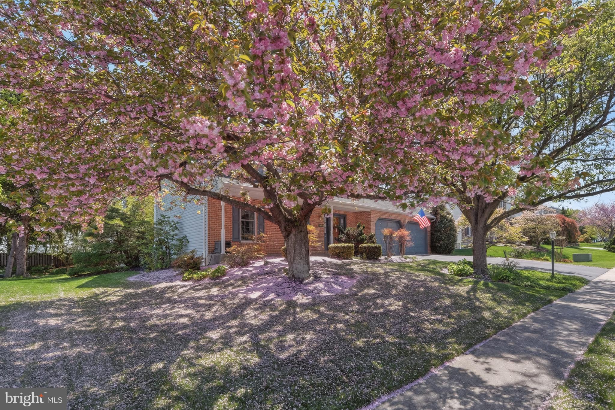 COLONY PARK - Residential