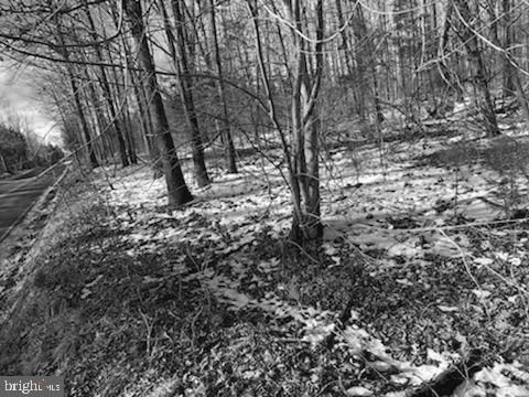 Photo of 13825 Aden Road, NOKESVILLE, VA 20181 (MLS # VAPW2073478)