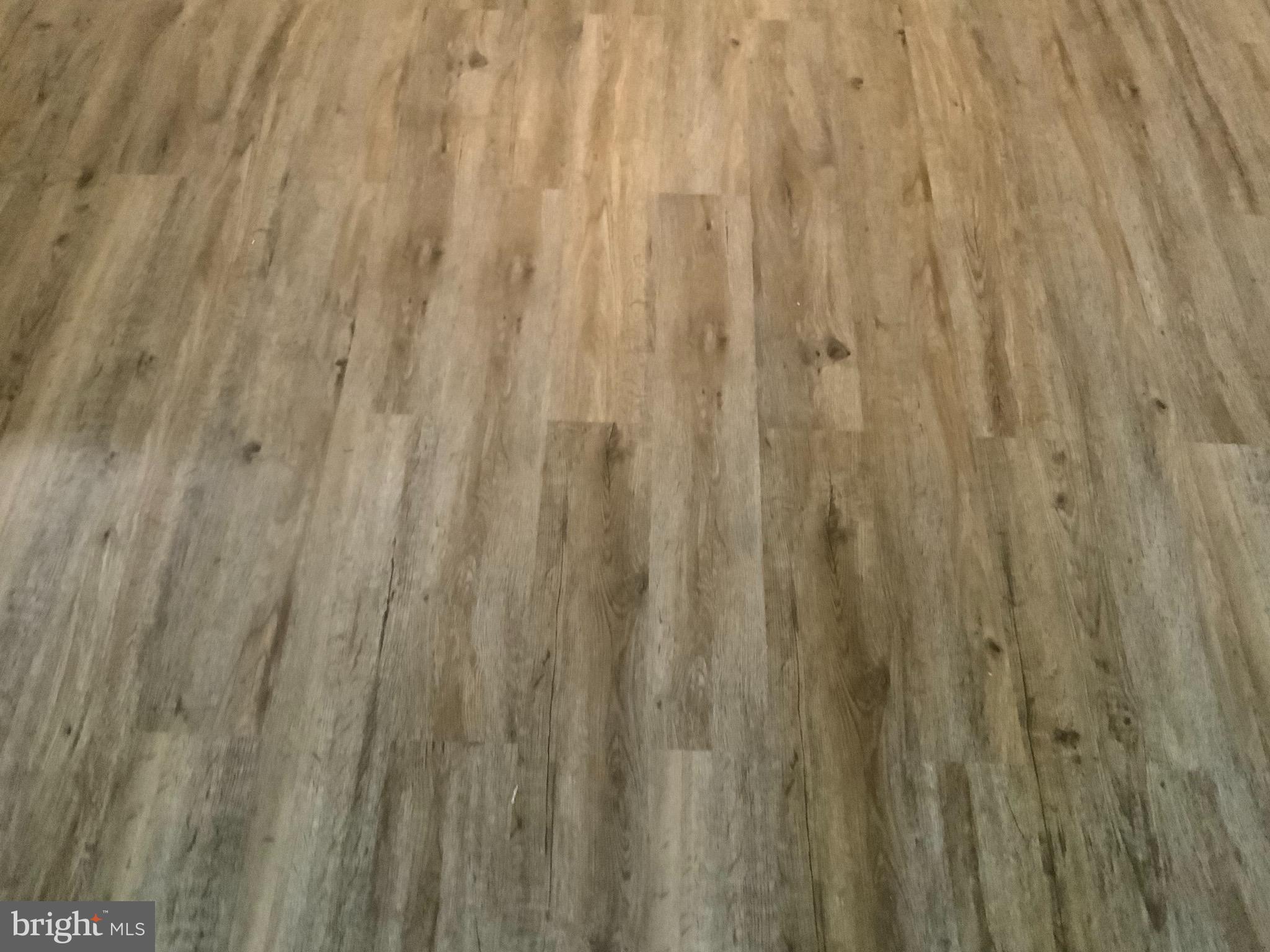 CARDINAL FOREST - Residential