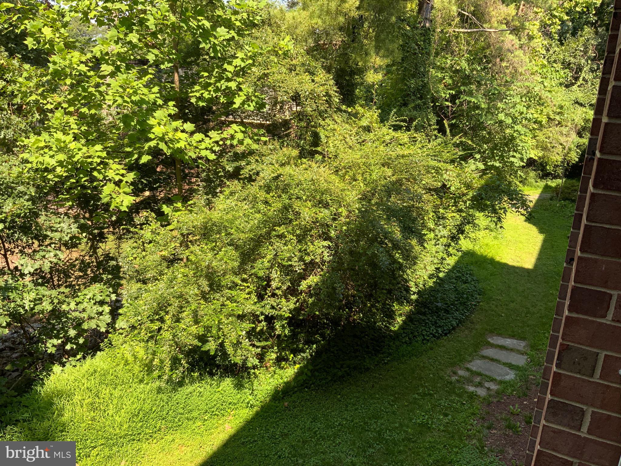 CARDINAL FOREST - Residential