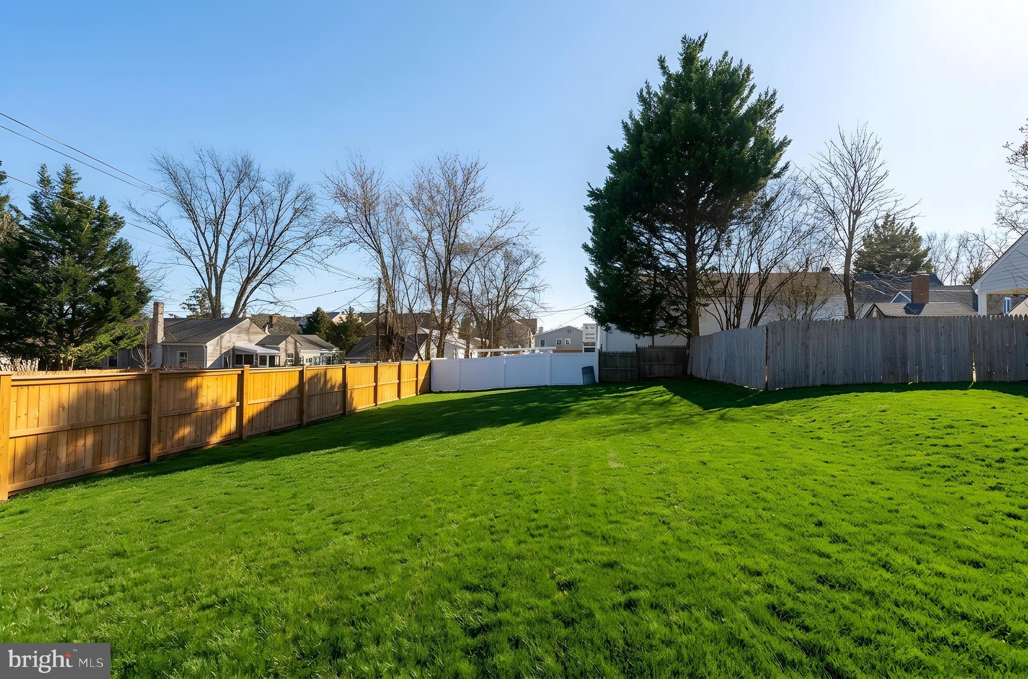 LEESBURG HISTORIC DISTRICT - Residential